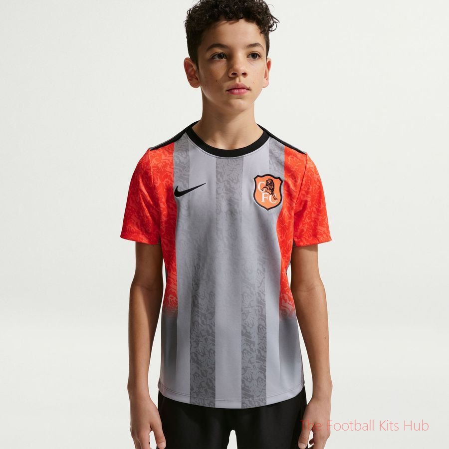 Chelsea Training T-Shirt Dri-FIT Academy Pro Pre Match SE - Wolf Grey/Turf Orange/Blue Kids