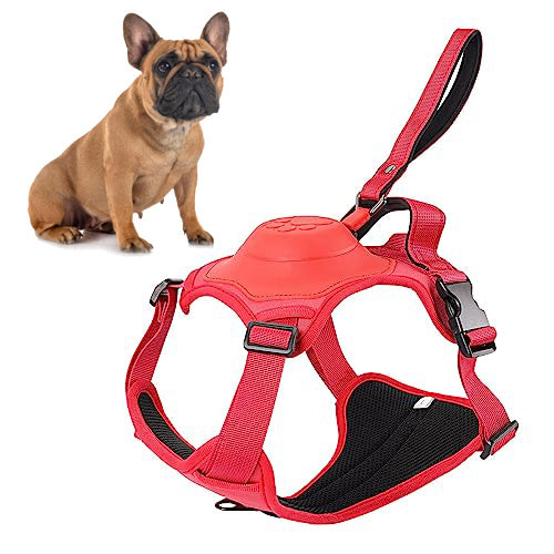 Frenchie Harness And Retractable Leash Set All-in-one Outdoor Use