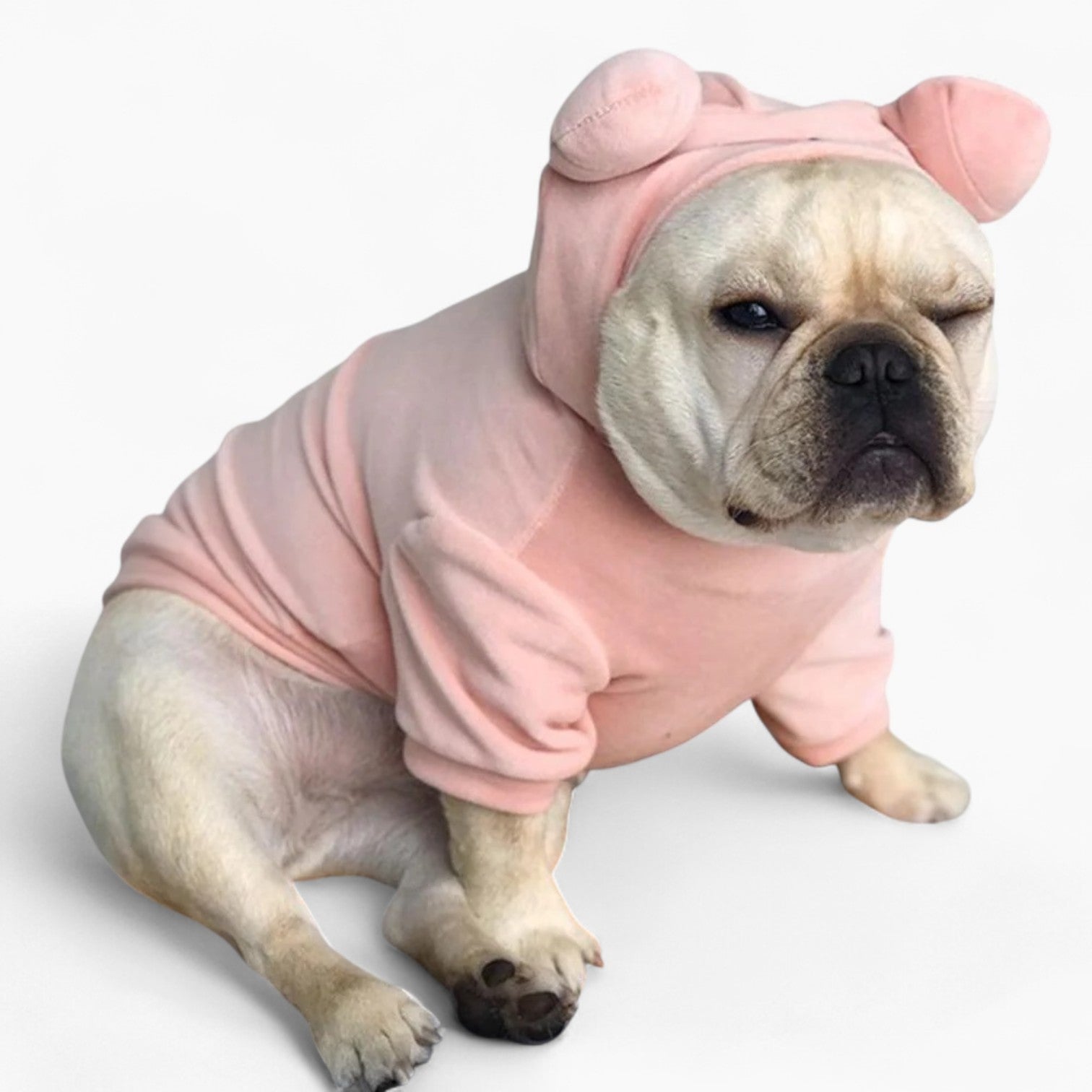 French Bulldog Hoglet Frenchie Piggy Hoodie Costume – Halloween Soft