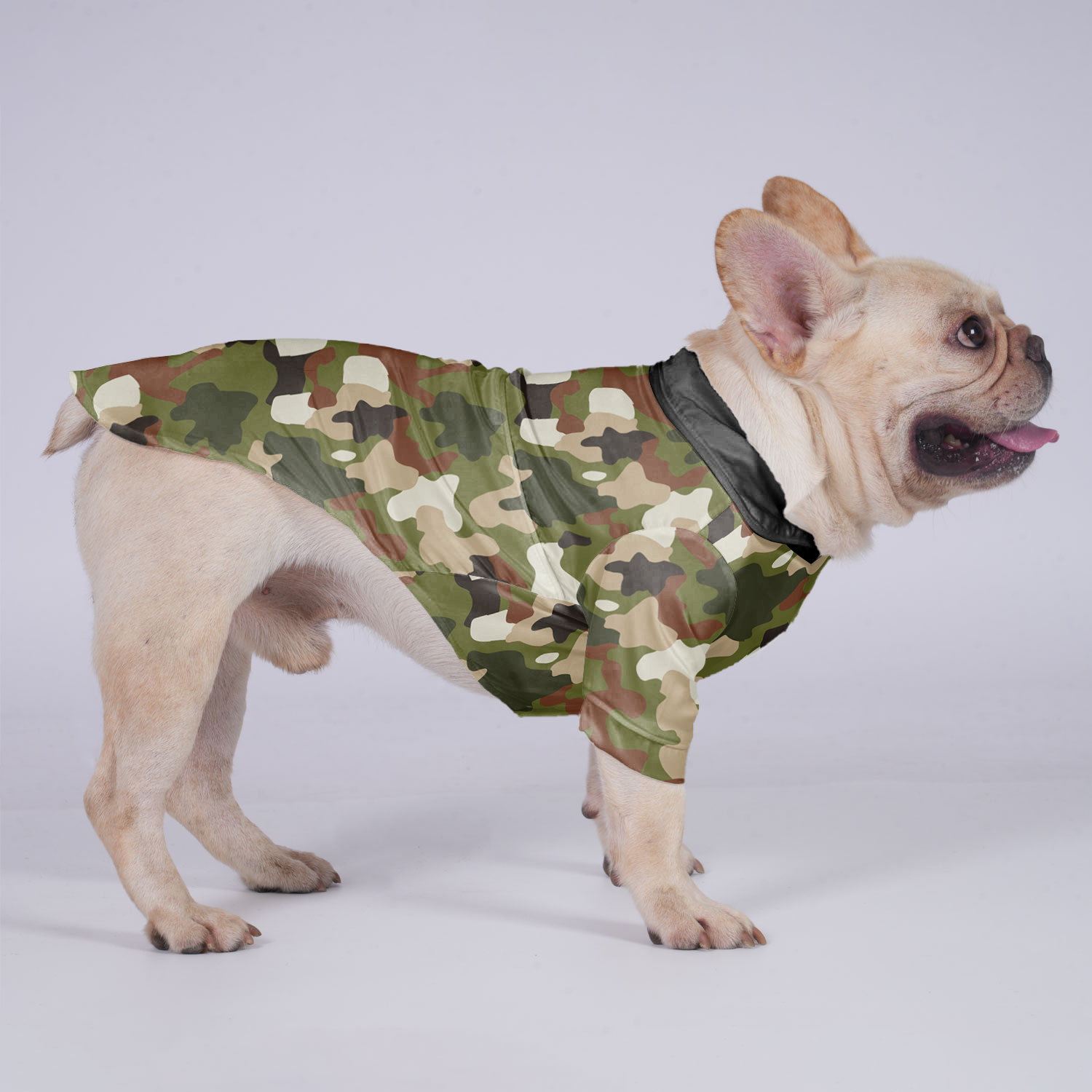 Thor - Frenchie Lover Hawaiian Shirt For Frenchies Outdoor Style