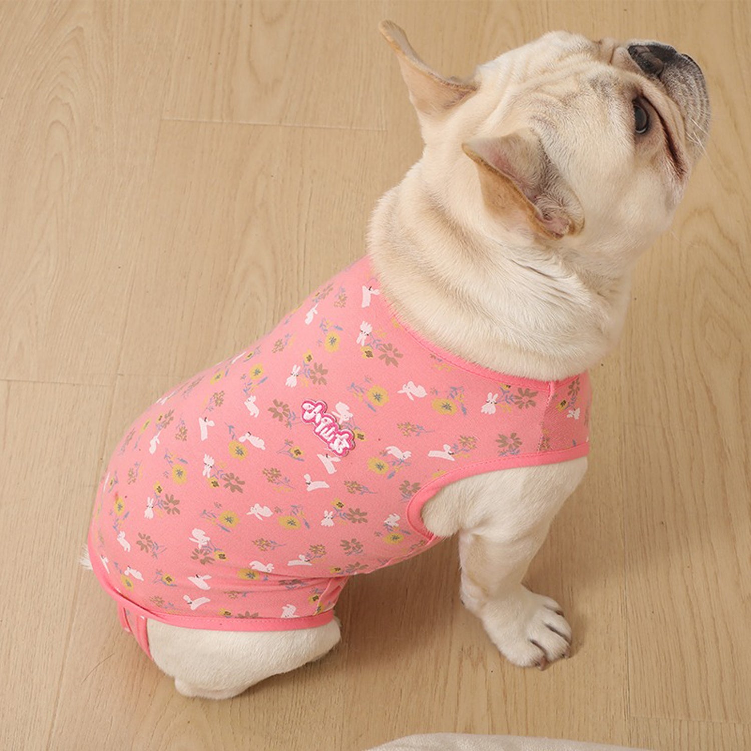 Street-Ready Pawjoy French Bulldog Physiological Pants – Cute Comfy C...