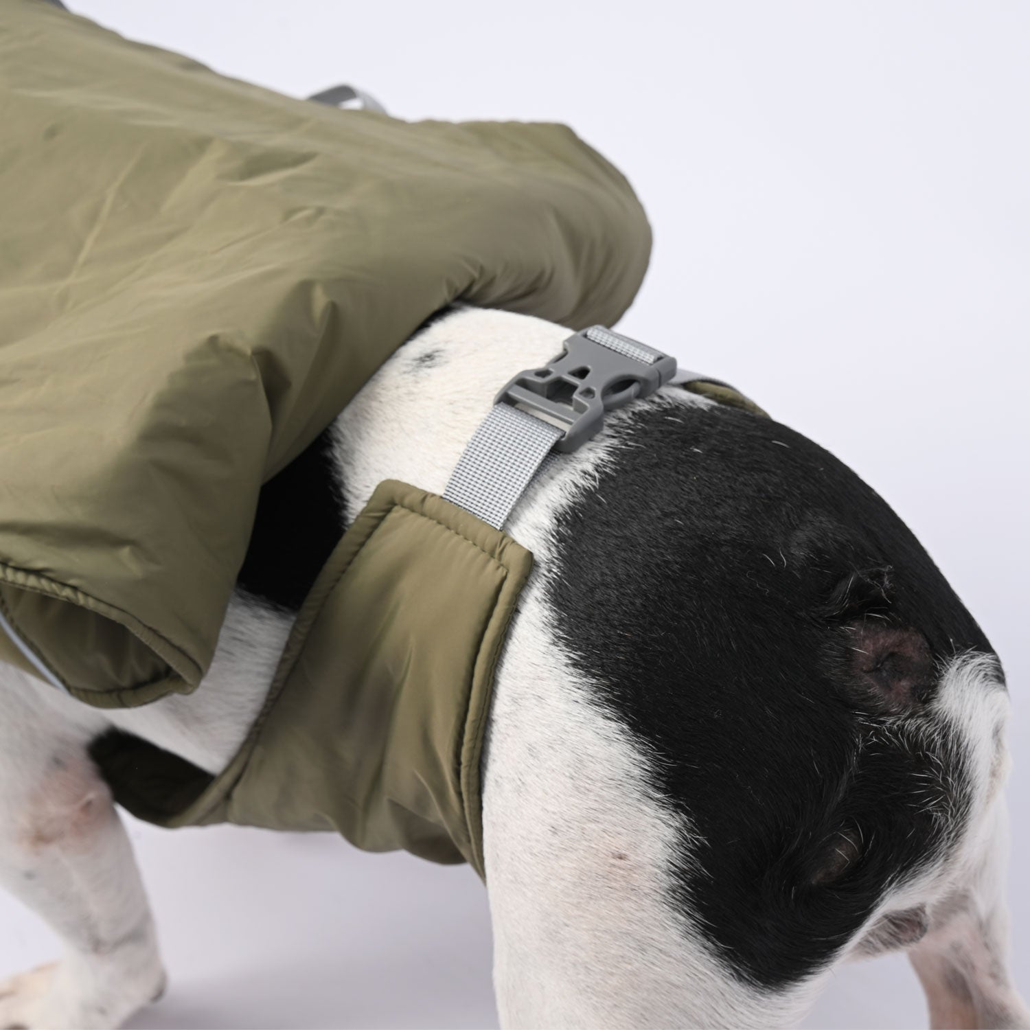 Frenchie Luxury Winter Jacket For French Bulldogs | Breed-optimized