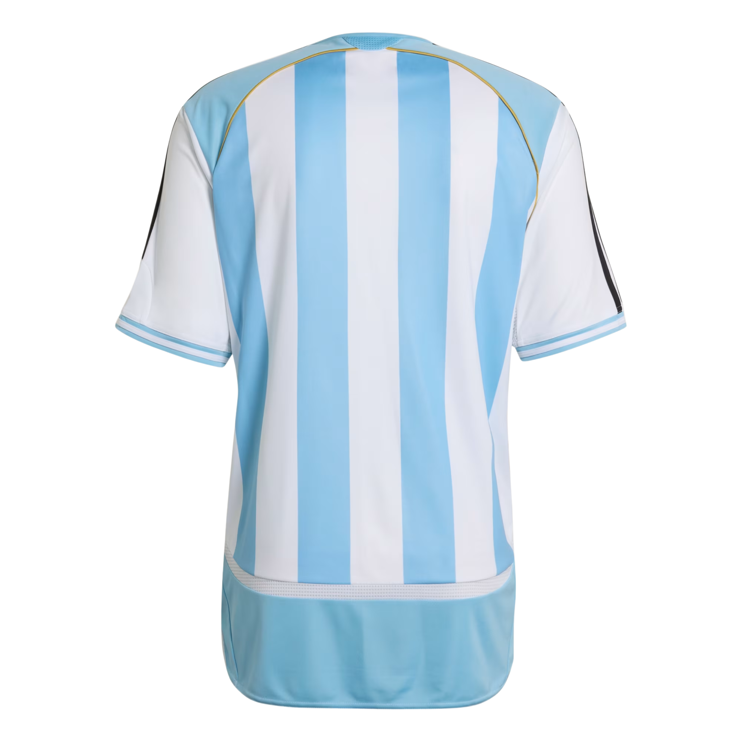 Argentina National Team 2006-2007 Season Home Jersey –  Edition S