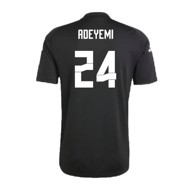 Special Germany Jersey 2024-2025