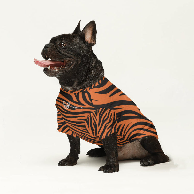 Pet-Lover Cozy Axel - Wool Sweater For Frenchies for Pet Enthusiasts