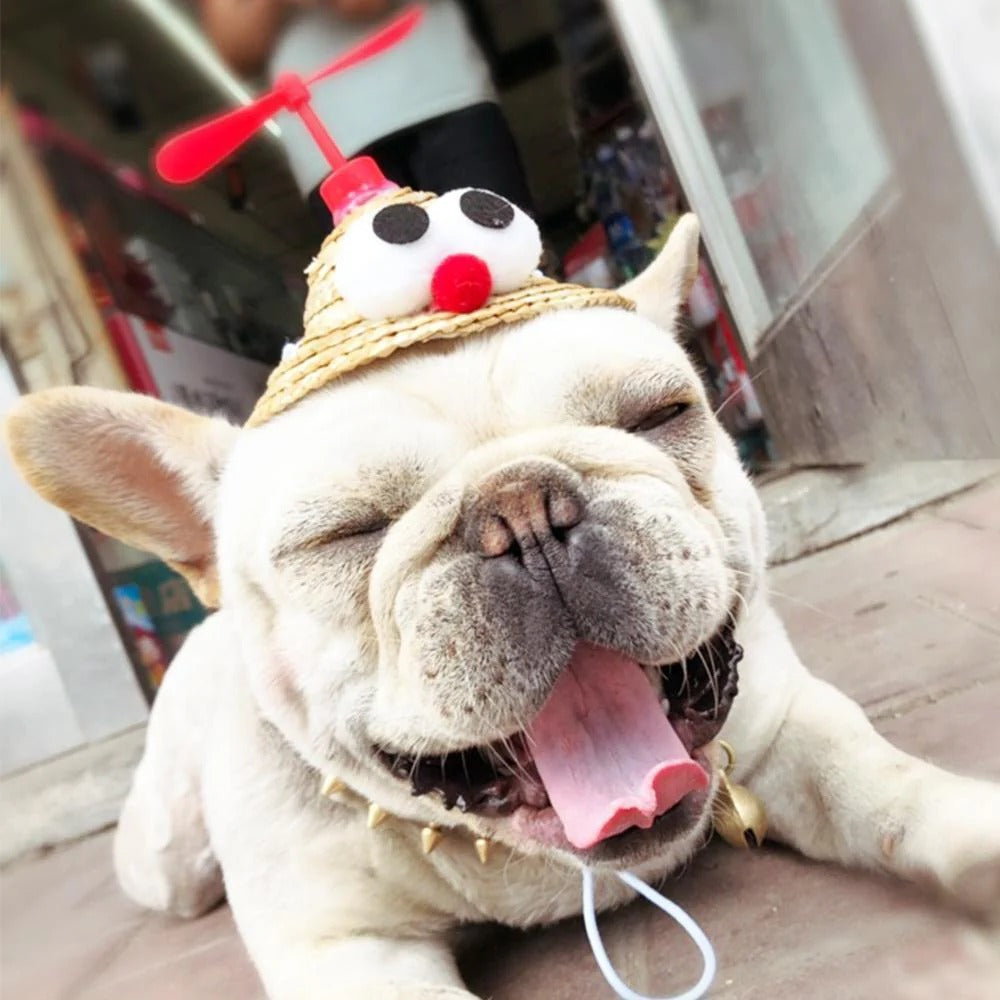 French Bulldog Twirlcap Frenchie Spinning Straw Hat – Cute Propeller