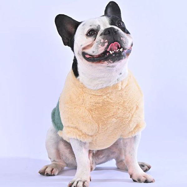 French Bulldog Stylia™ Frenchie Stylish Sweater (wl06) Soft Pet Apparel