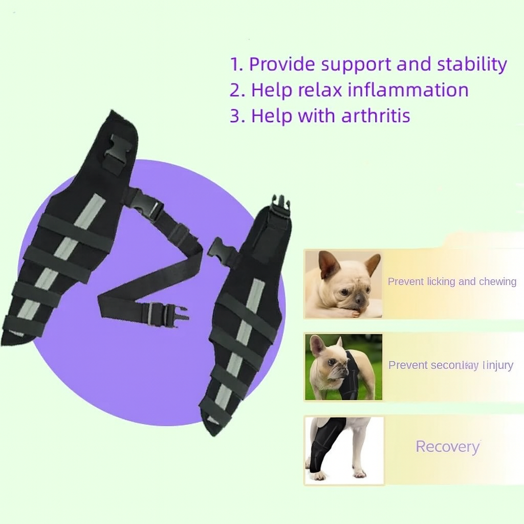 French Bulldog Pawguard Frenchie Knee Leg Braces – Joint Support Injury