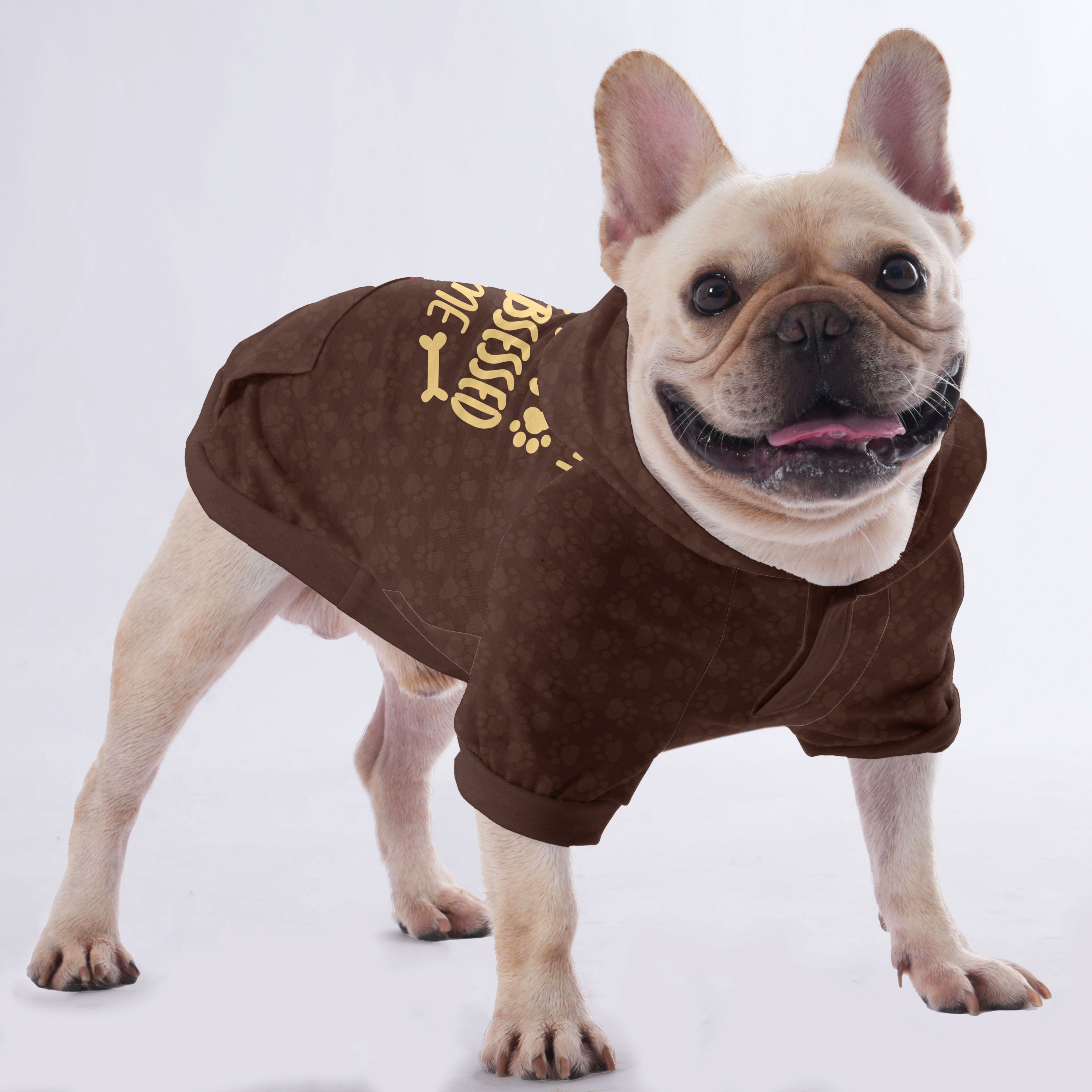 French Bulldog My Mom Is Obsessed With Me Hoodies For French Bulldog |