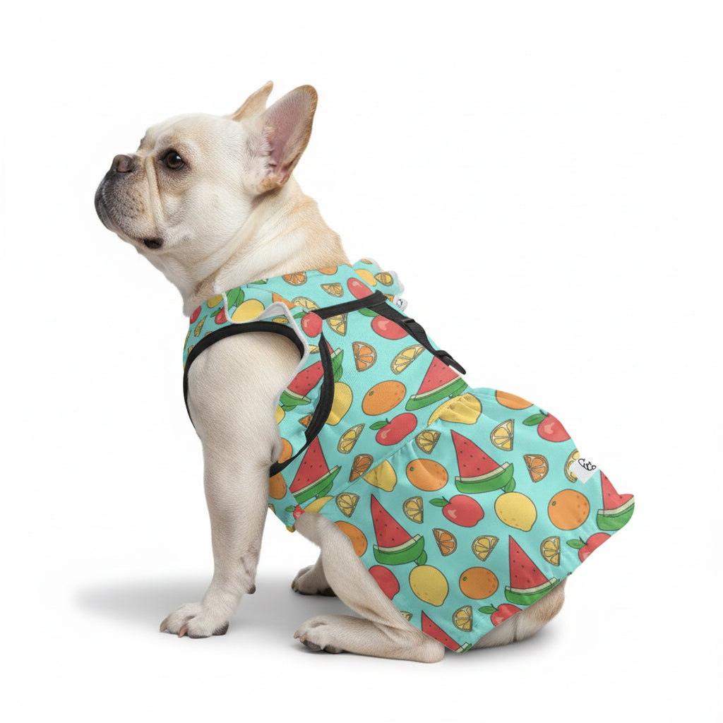 - French Bulldog French Bulldog Dresses For Females For Frenchie Pups