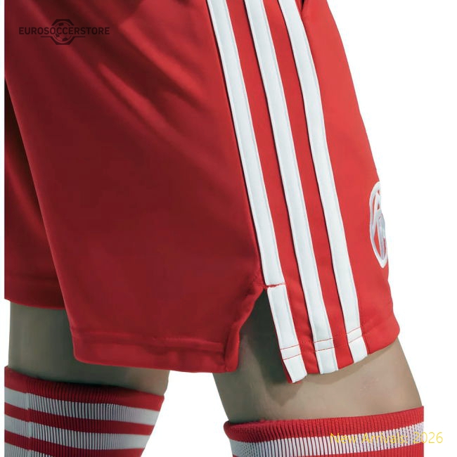 Top-Quality 2025-2026 Bayern Munich Third Goalkeeper Shorts (Pure Ruby) -