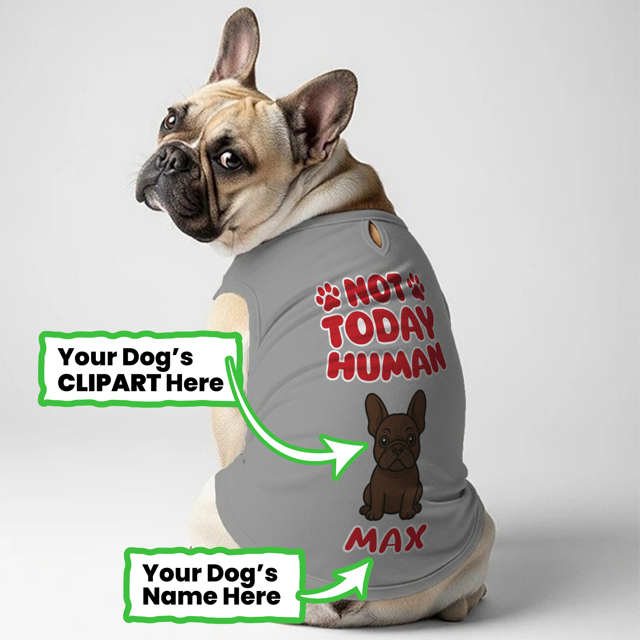 Not Today - Personalized Frenchie Shirt | Custom Dog T-Shirt for French Bulldogs