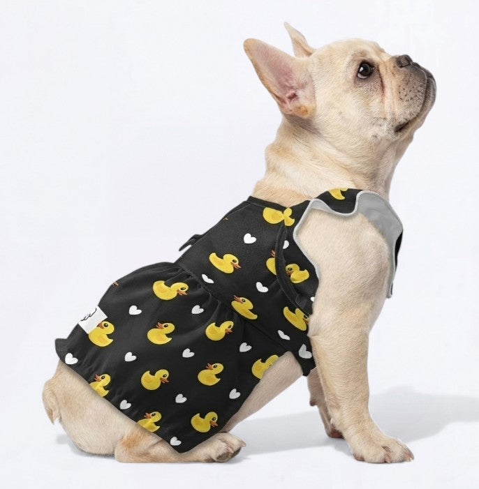 Honey - French Bulldog Dresses for Females