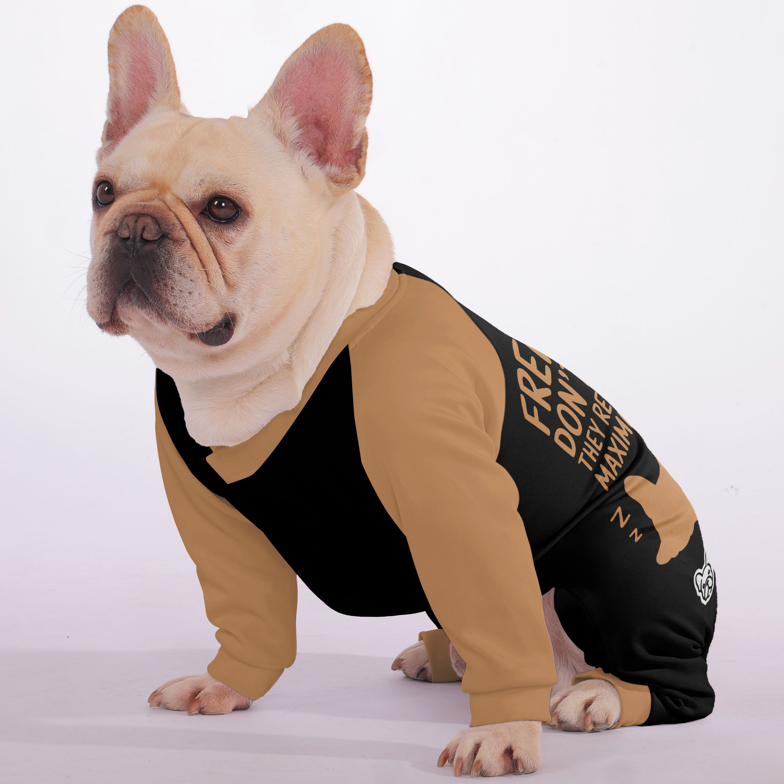 French Bulldog Frenchies Don’t Sleep—they Recharge For Maximum Chaos