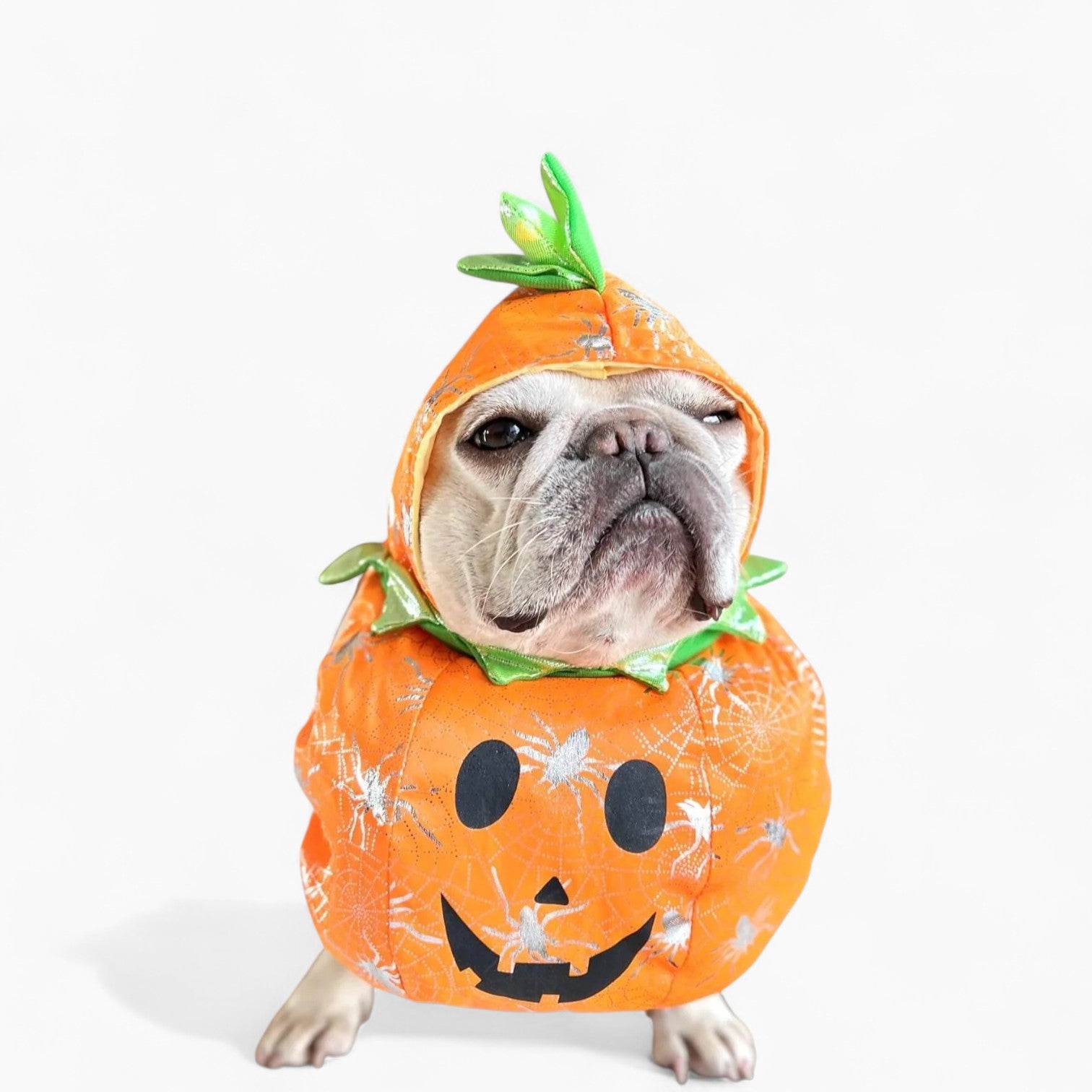 Howlkin Frenchie Pumpkin Costume with Hat – Halloween Adjustable Dog Cosplay Outfit