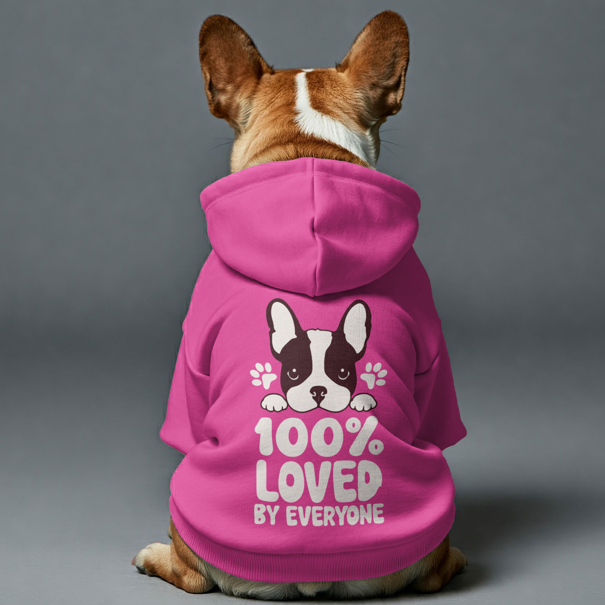 French Bulldog Loved By Evryone Personalized French Bulldog Hoodies