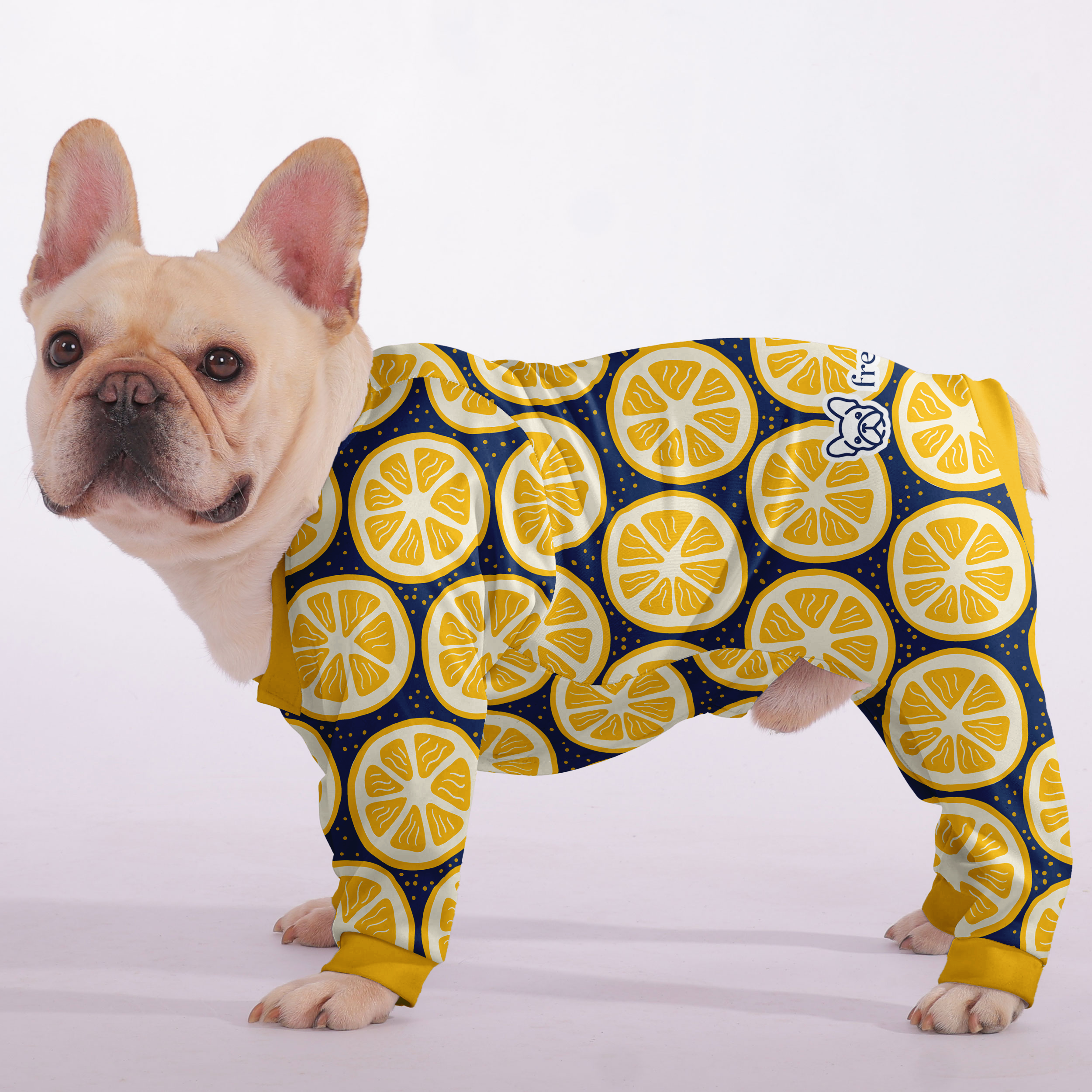 Tanya - Comfortable Frenchie Pajamas – Ultra-soft, Cozy, & Adorably Stylish Indoor Use