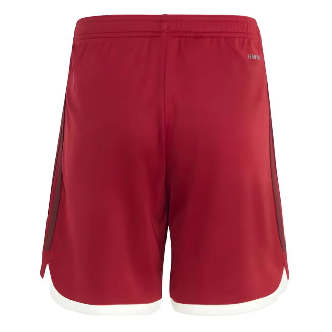 Bayern Munich Exclusive Third Jersey 2023-2024