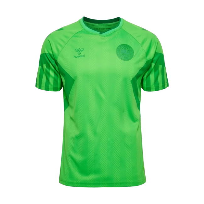Premium 2022-2023 Denmark Home Performance Professional Authentic
