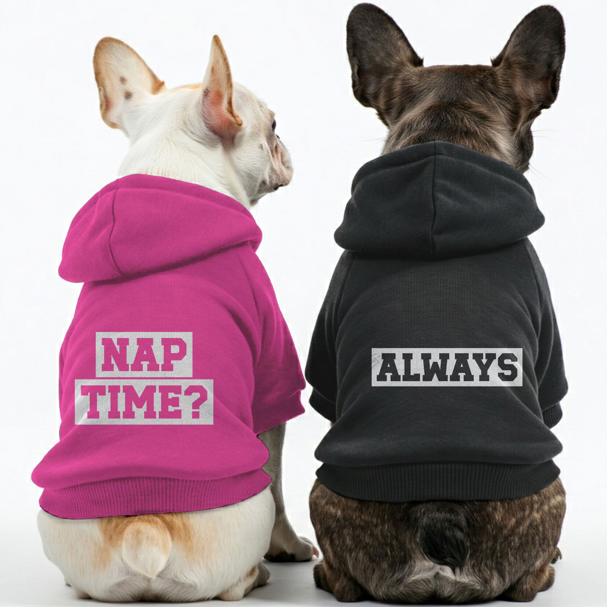 NAP TIME ? and ALWAYS - Matching French Bulldog Hoodies – Stylish, Cozy & Personalized!