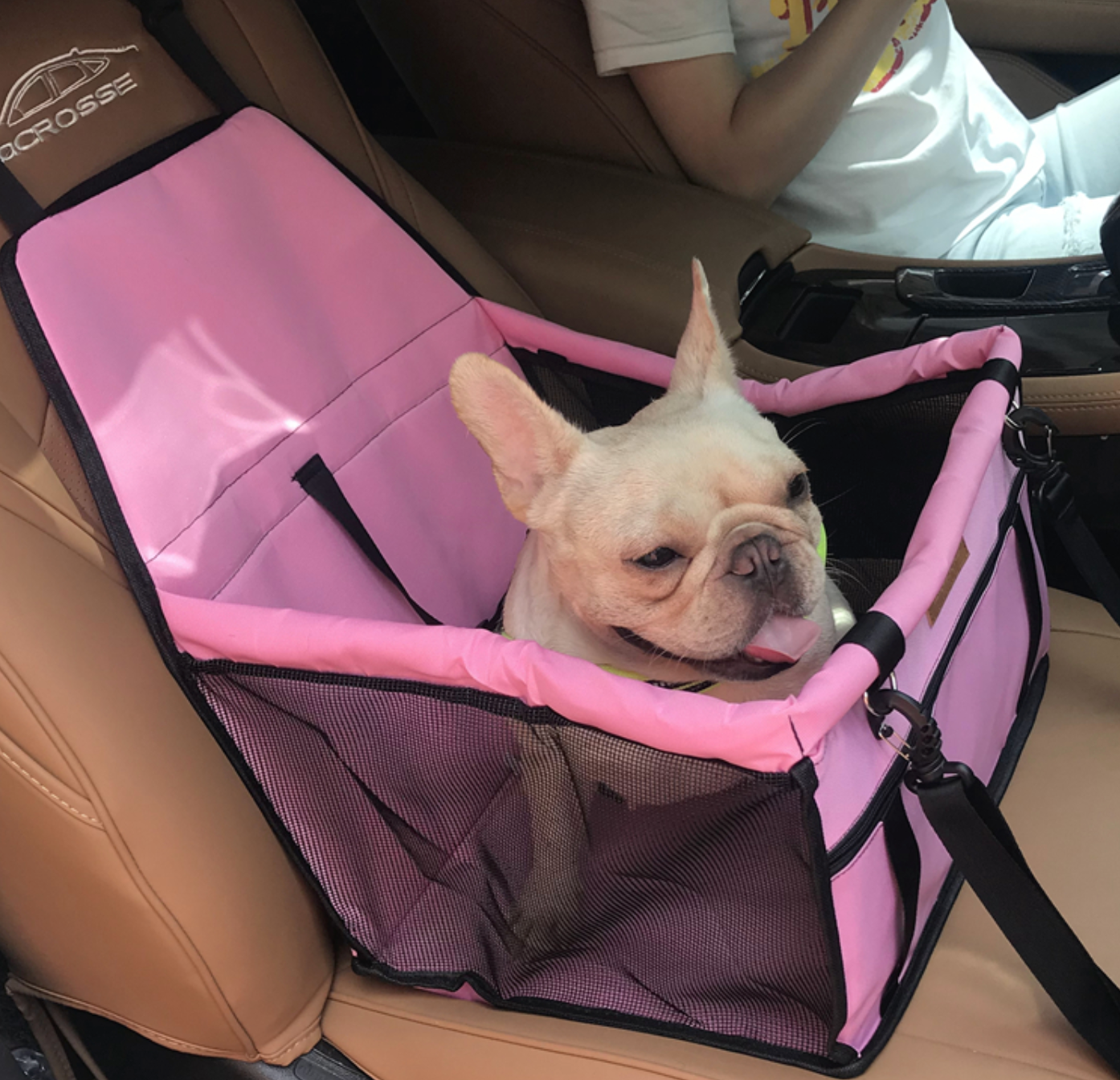 Street-Ready French Bulldog Seat Cover For Frenchies V4 (ws54) for Ev...