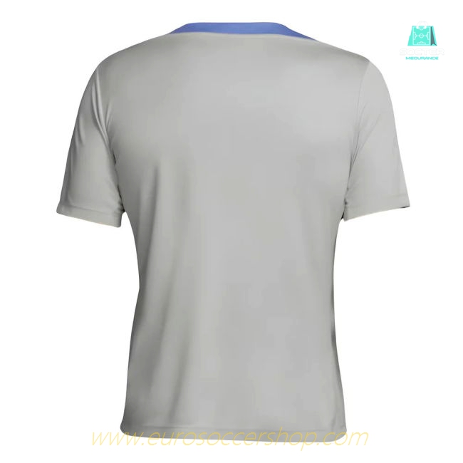 2024-2025 Tottenham Strike Training Jersey (Grey)