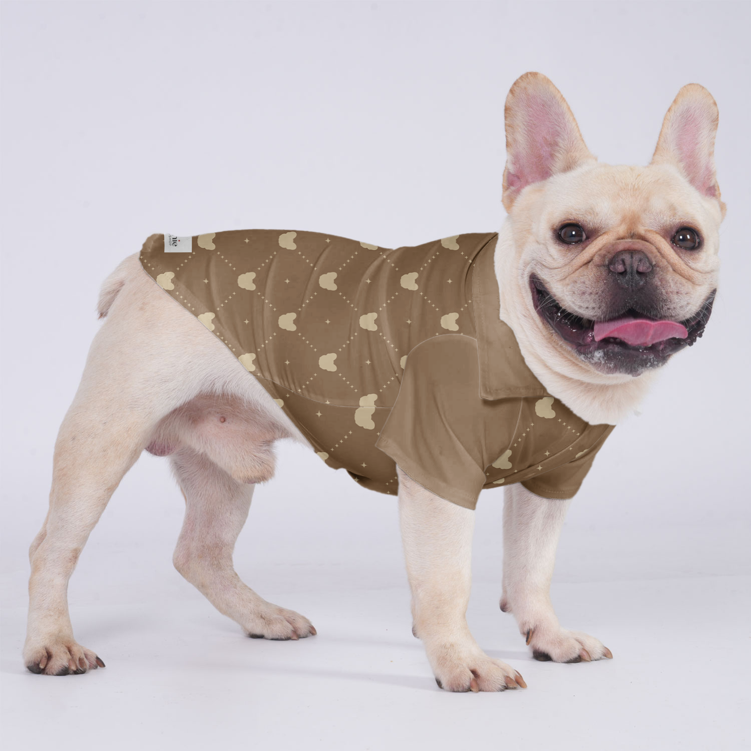 Lifestyle-Driven Zoey - Hawaiian Shirt For Frenchies for Daily Life