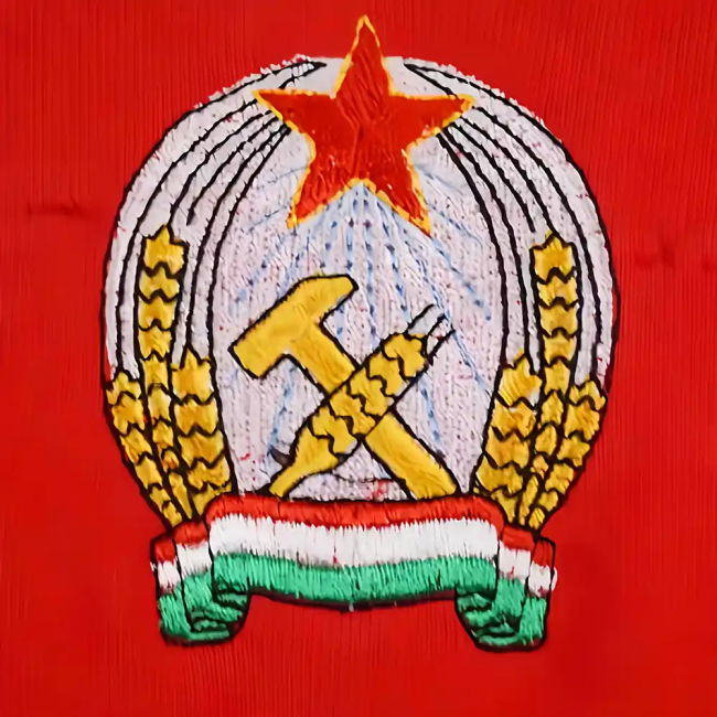 Professional Grade Proud Football Club Hungary #1953 Fresh Look Shirt