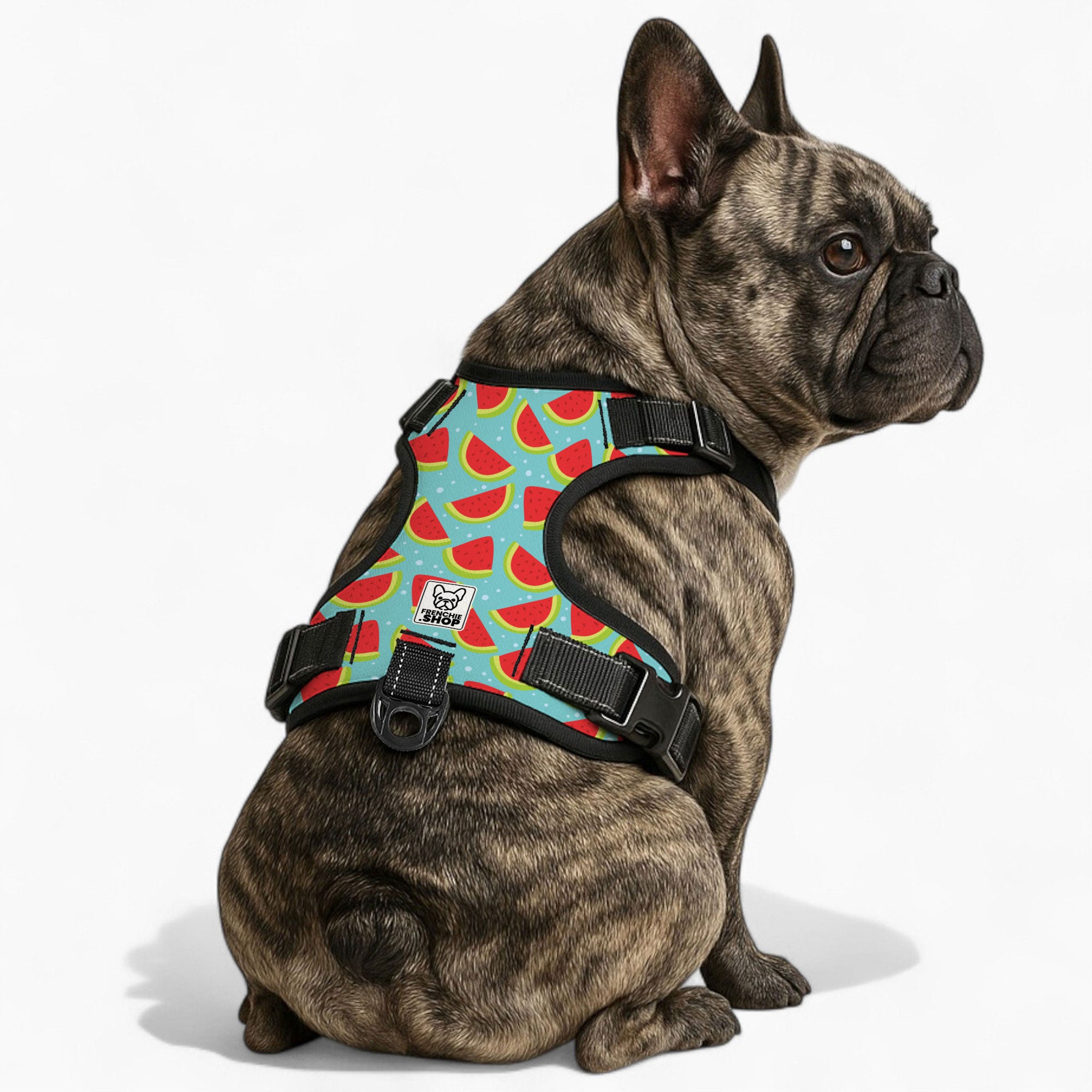 Louis - No-Pull French Bulldog Dog Harness