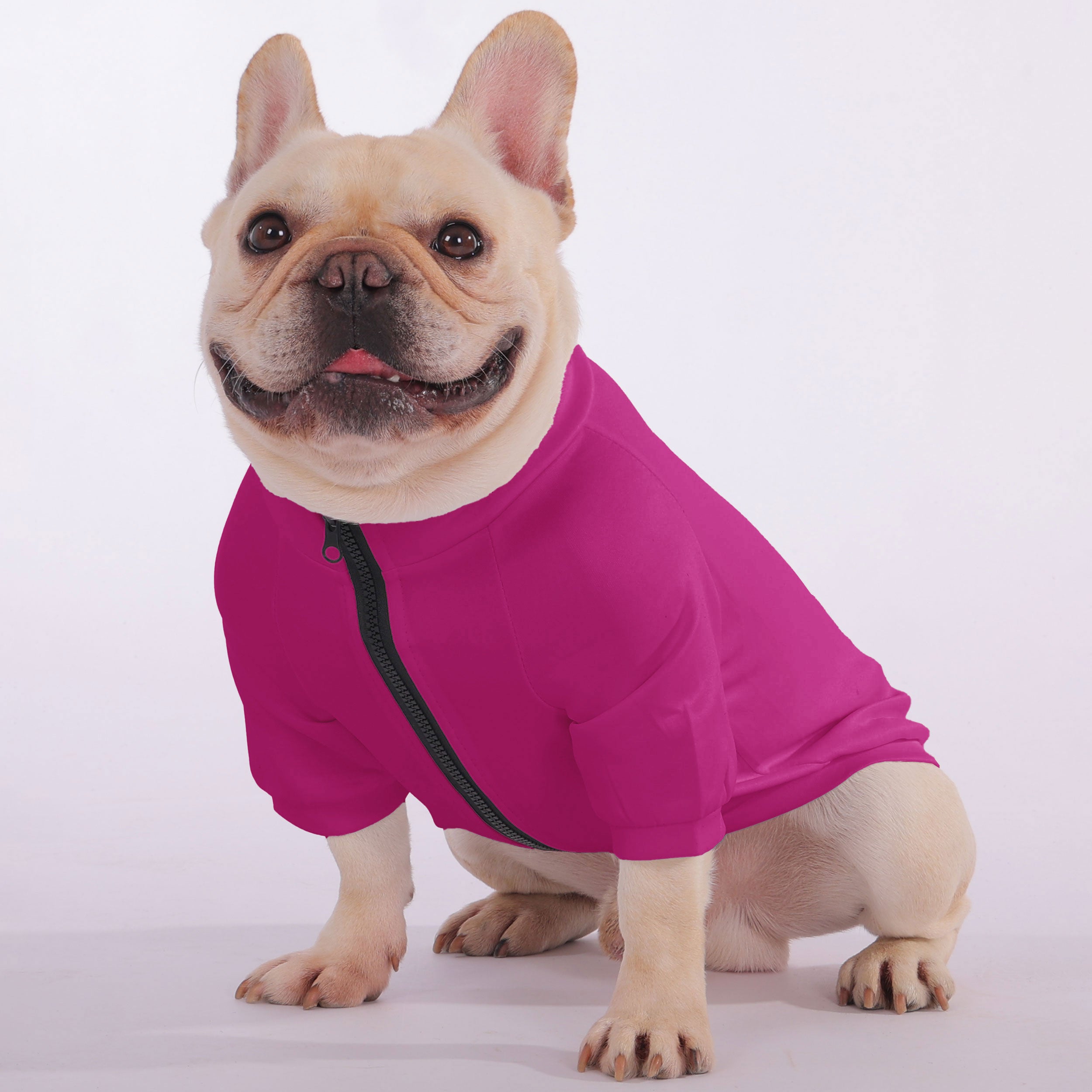Cute, Cuter, Frenchie - Snuggly Zip-Up Sweatshirt for French Bulldogs