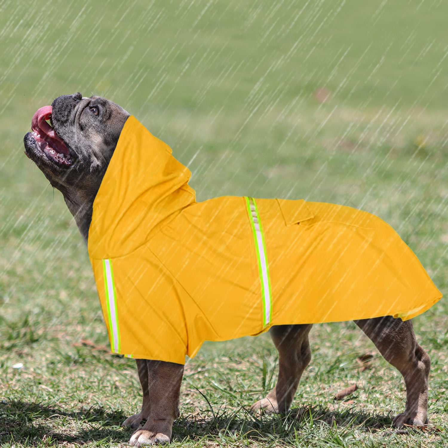 French Bulldog Stormshield Frenchie Rain Jacket Cozy Pet Winter Wear