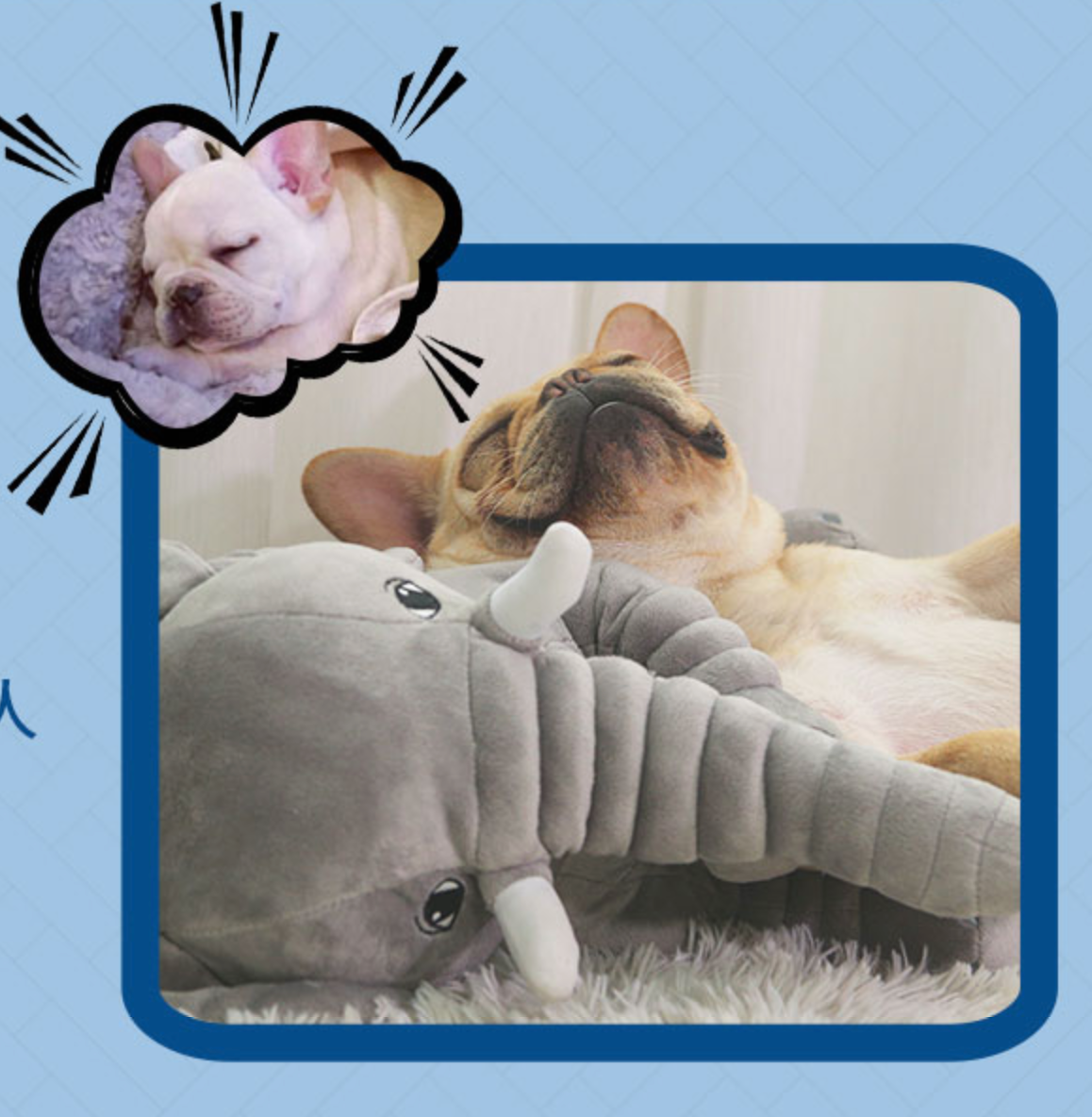 Fashion-Forward Durable Buddy - Pillow for Casual Outings Premium