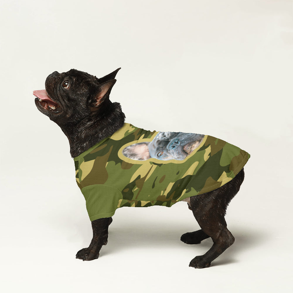 Wool Sweater For Frenchies For Frenchie Fans | Premium Quality