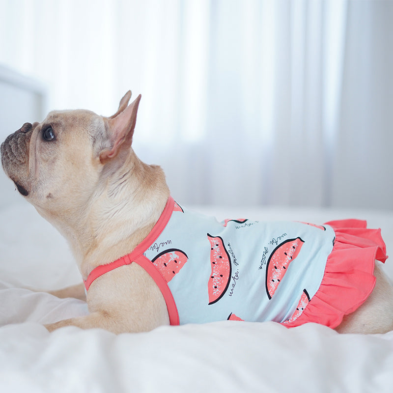 Trendy Watermelon - Dog Owner Shirt For Summer Indoor Comfort