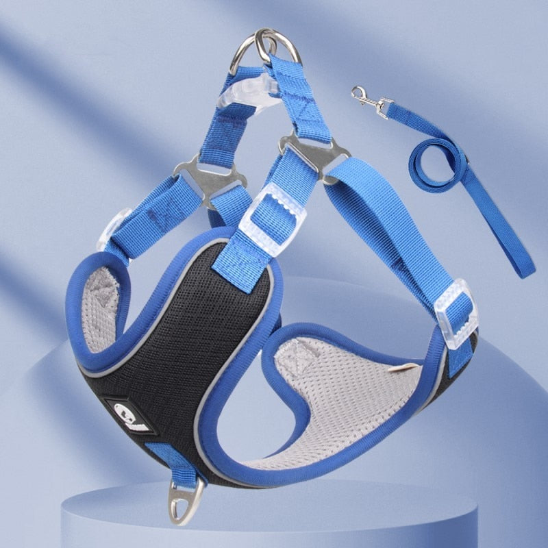 Frenchiekit™ - Warm Adjustable Frenchie Harness Leash Set Pet Gear