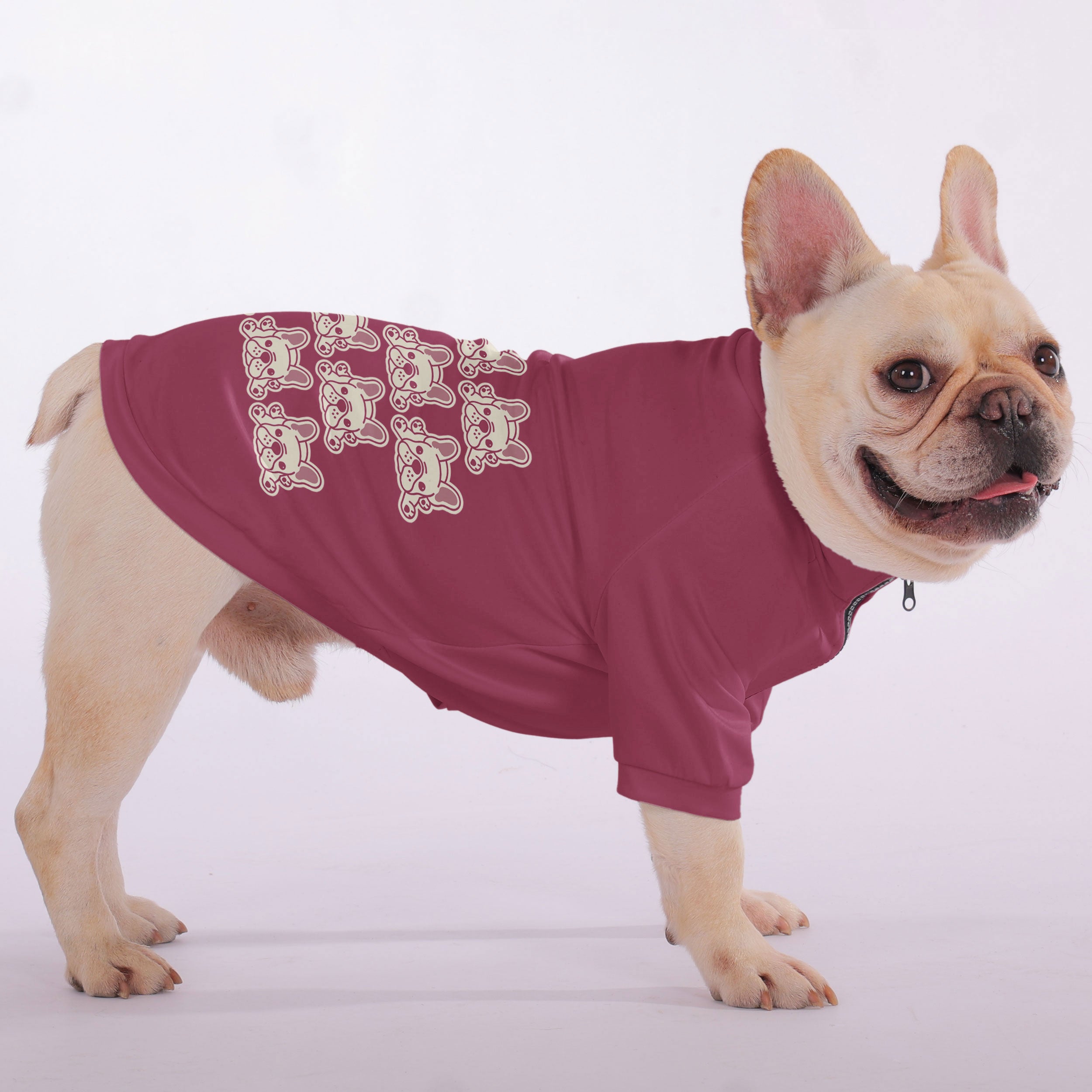 High-Quality Wilma - Snuggly Zip-up Sweatshirt For French Bulldogs fo...
