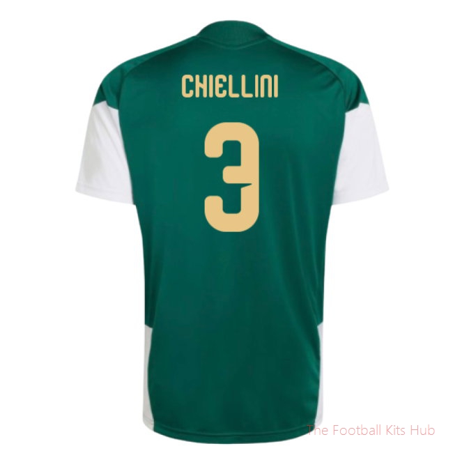 2026-2027 Italy Training Jersey (Green) (Chiellini 3)
