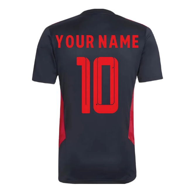 2025-2026 Bayern Munich Training match jersey - professional v1.856