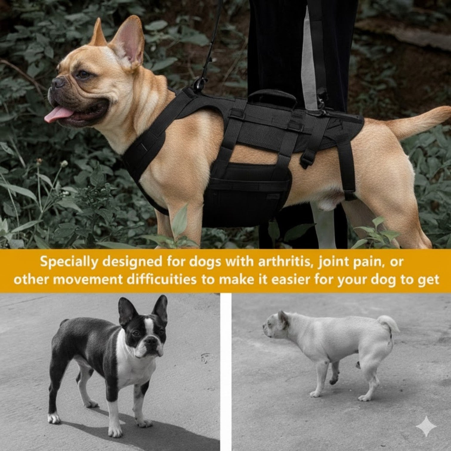 French Bulldog Frenlift™ Frenchie Support Harness – Heavy Duty Walking