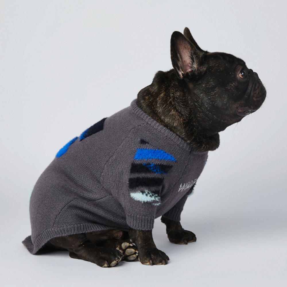 Frenchie Woof Winter Sweater V2 Pet Owner Apparel | Stylish Look