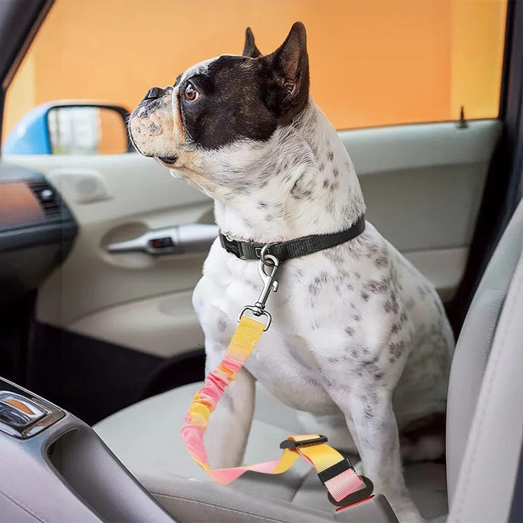 PawLuxe™ Frenchie Car Safety Seat Belt – Adjustable Anti-Rope Dog Seat Belt