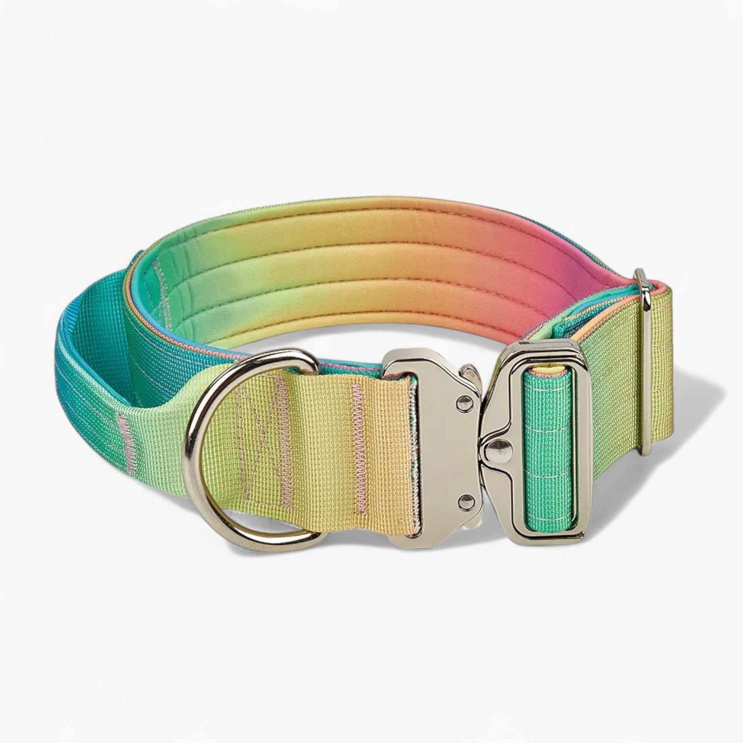 French Bulldog Tactipup French Bulldog Gradient Collar And Leash Set –