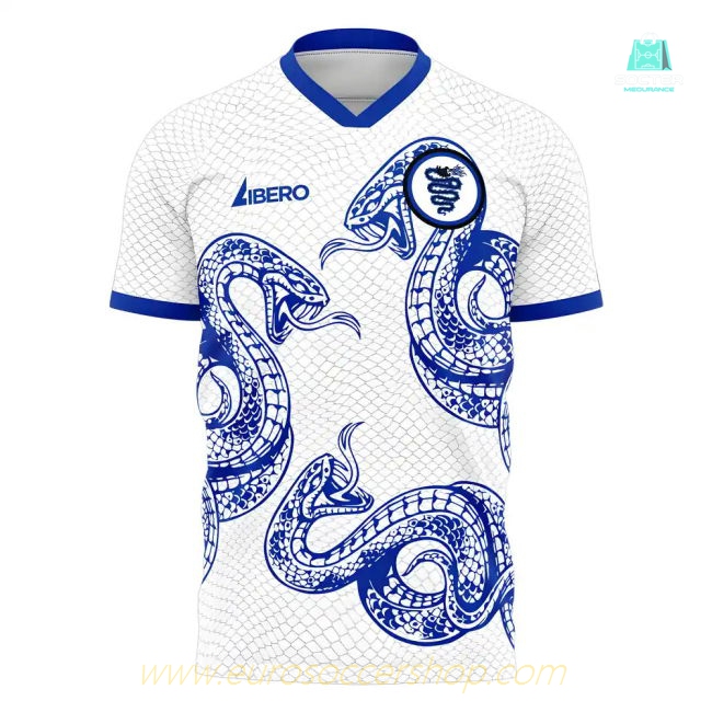 Inter 2025-2026 Away Concept Football Kit (Libero)
