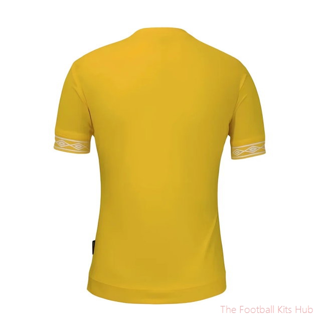 Zimbabwe 2019-20 Home Shirt (L) (Excellent)