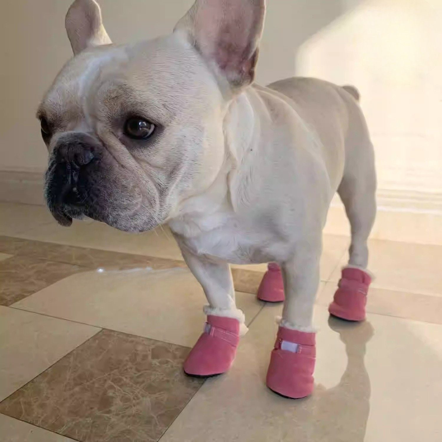 Durable Luxepaw Soft Sole French Bulldog Booties – Stylish And Non-sl...