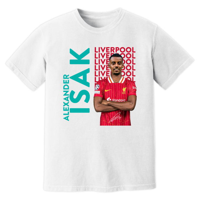 Liverpool premium quality Third Shirt - Adults | superior