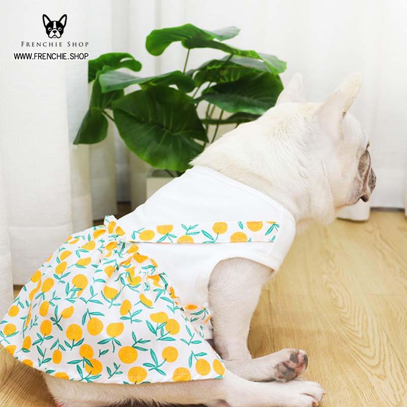 French Bulldog Frenchie Summer Dress Floral Cotton (w305) Durable Dog Item