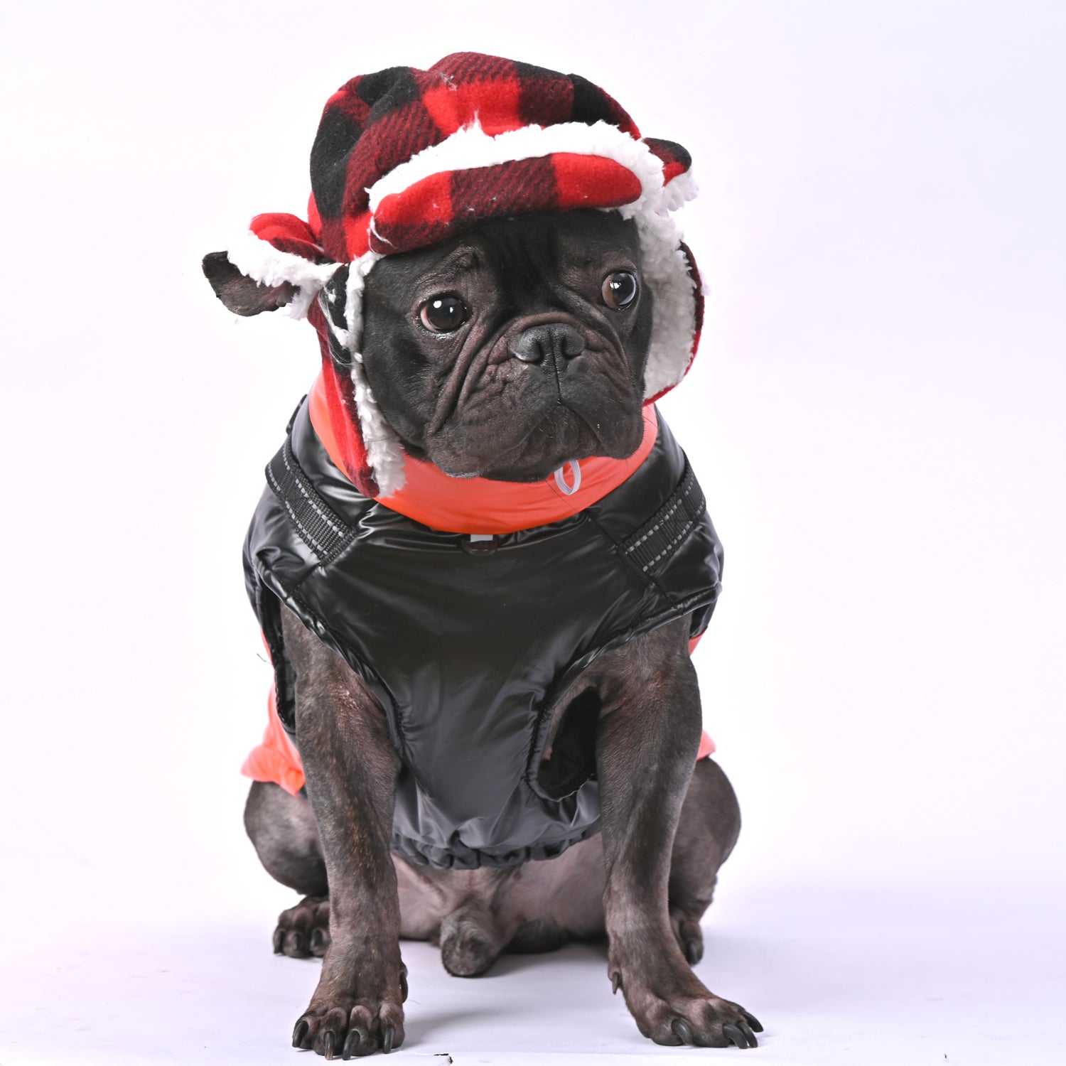 French Bulldog Snowy Snuggles Frenchie Warm Reflective Winter Jacket V1 Warm Dog Outfit