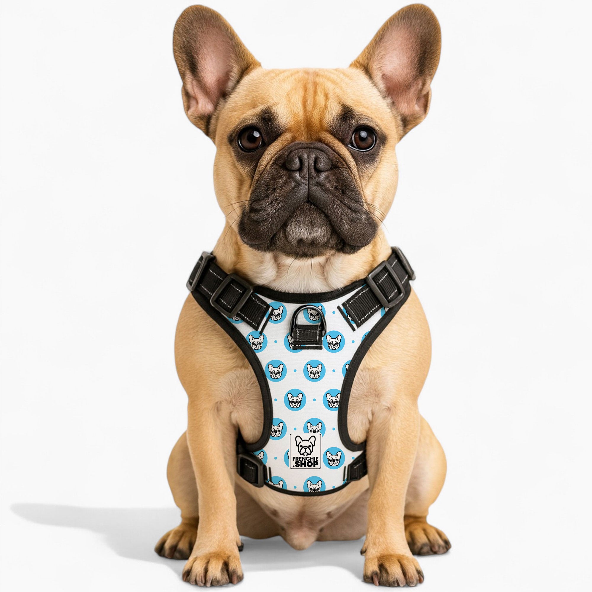 Soft Lionel - No-pull French Bulldog Dog Harness for Daily Use Durable