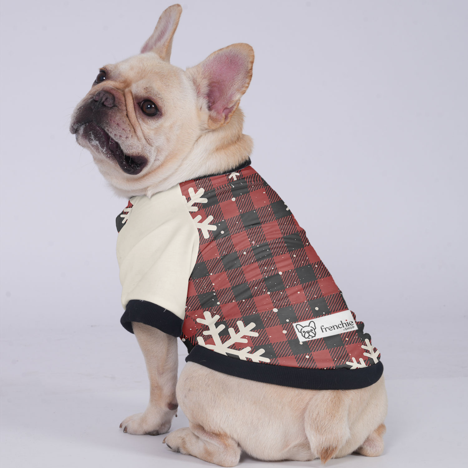 Chloe - Bulldog Jacket For French Bulldog Winter Wear | Vet-recommended